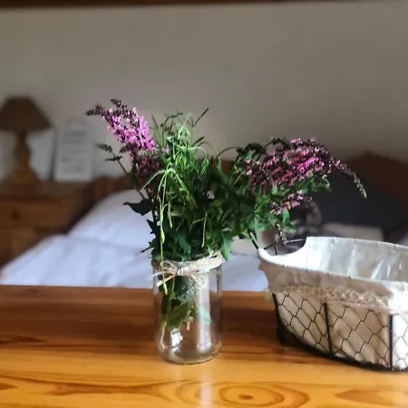 Villa Lucky Penzión pre hostí *